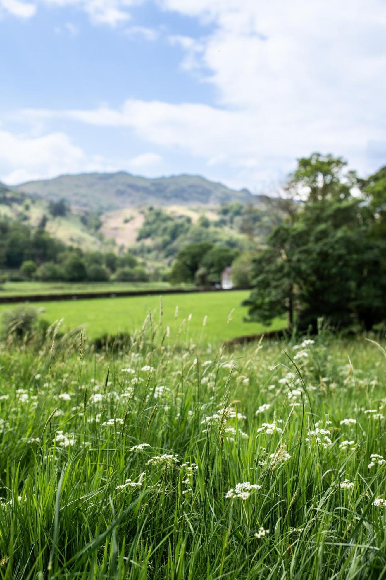 Lancrigg Hotell Grasmere Exteriör bild